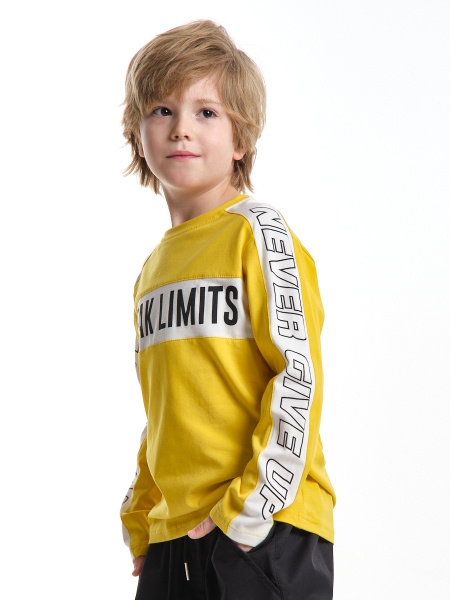 Лонгслив для мальчиков Mini Maxi, модель 7892, цвет горчичный - Лонгсливы / футболки - дл. рукав