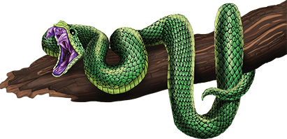 Зелёная древесная гадюка - Опасные змеи