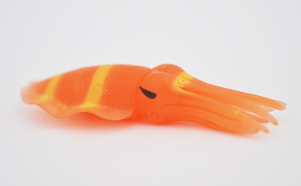 Кальмар Лессона,(меняет цвет в зависимости от температуры)     - Медузы & КО
