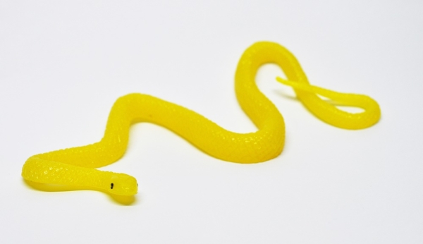 Цепкохвостый ботропс Шлегеля - Опасные змеи