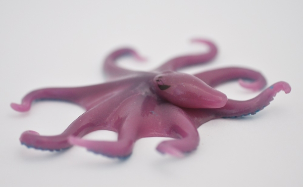 Кокосовый осьминог, (меняет цвет в зависимости от температуры)     - Медузы & КО