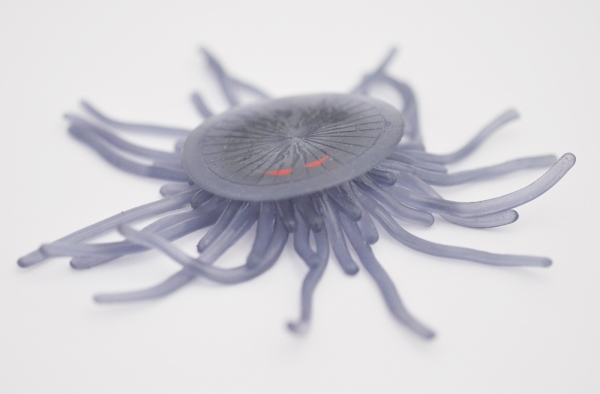 Порпита Линнея,(меняет цвет в зависимости от температуры)       - Медузы & КО