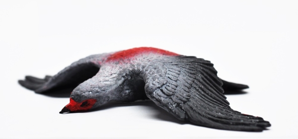 Сокол Жонглер - Большие птицы, Epic Animals