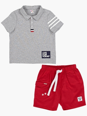 Комплект одежды для мальчиков Mini Maxi, модель 6995/4700, цвет серый/красный