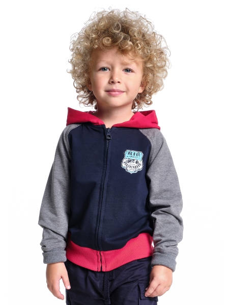 Толстовка для мальчиков Mini Maxi, модель 1650, цвет синий/красный - Куртки олимпийки для мальчиков