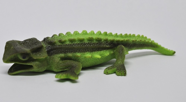 Карликовый листовой хамелеон (меняет цвет на солнце) - Хамелеоны и Ко Макси VS Крокодилы