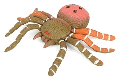 Оранжевый паук, Orange Papua spider