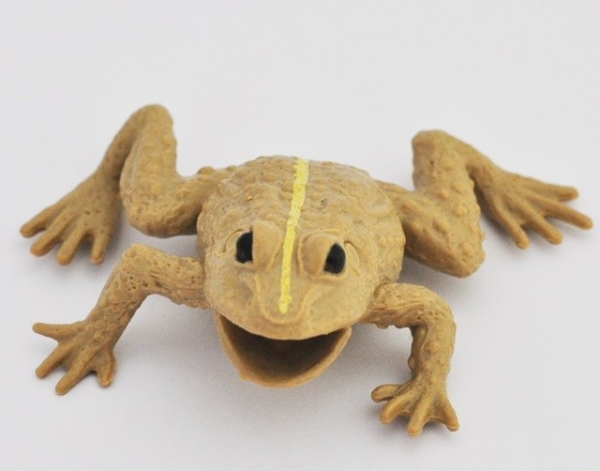 Камышовая жаба - Лягушки и КО Новая версия