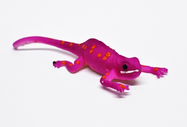 Сцинковый чудо геккон (меняет цвет в воде)    - Волшебные ящерицы