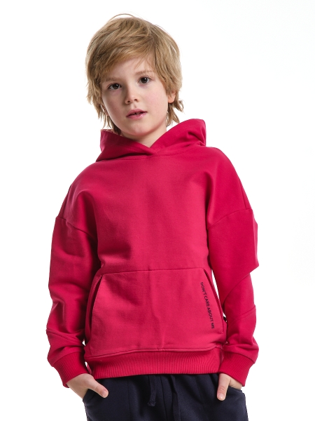 Джемпер для мальчиков Mini Maxi, модель 77332, цвет красный - Худи, толстовки с капюшоном