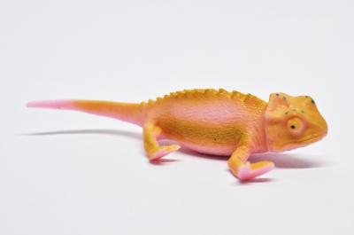 Хохлатый хамелеон (меняет цвет на солнце)      