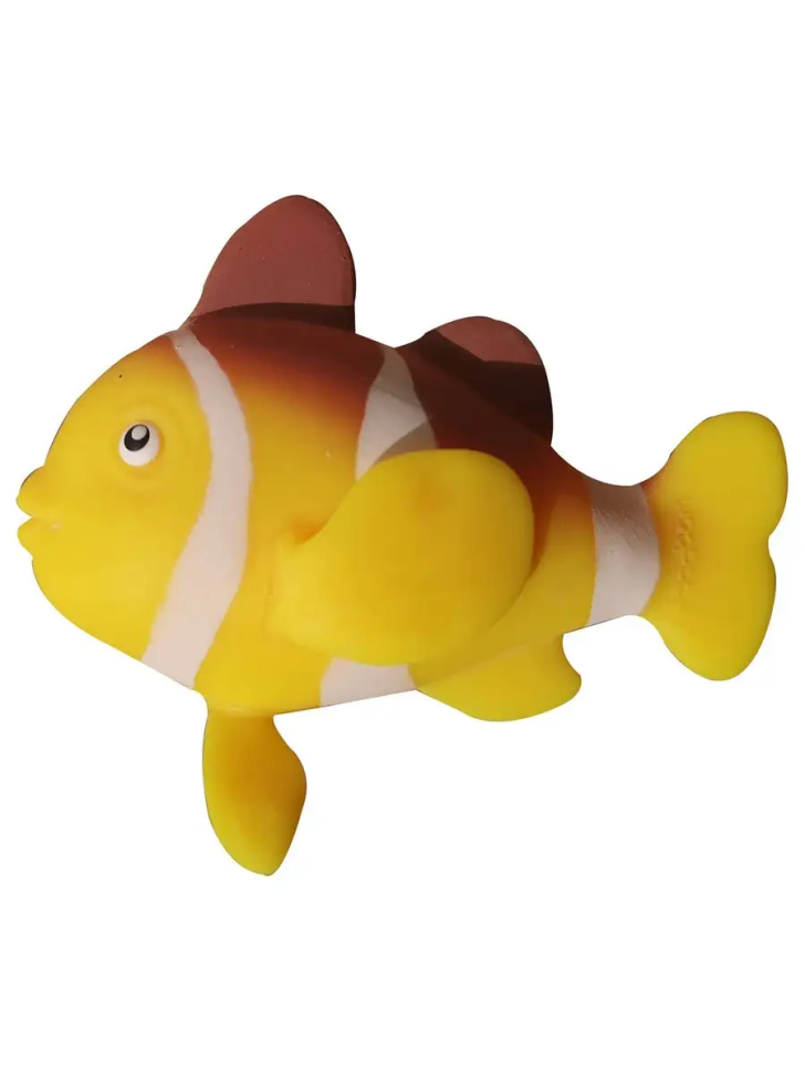 Рыба-клоун - Повелители Карибского моря