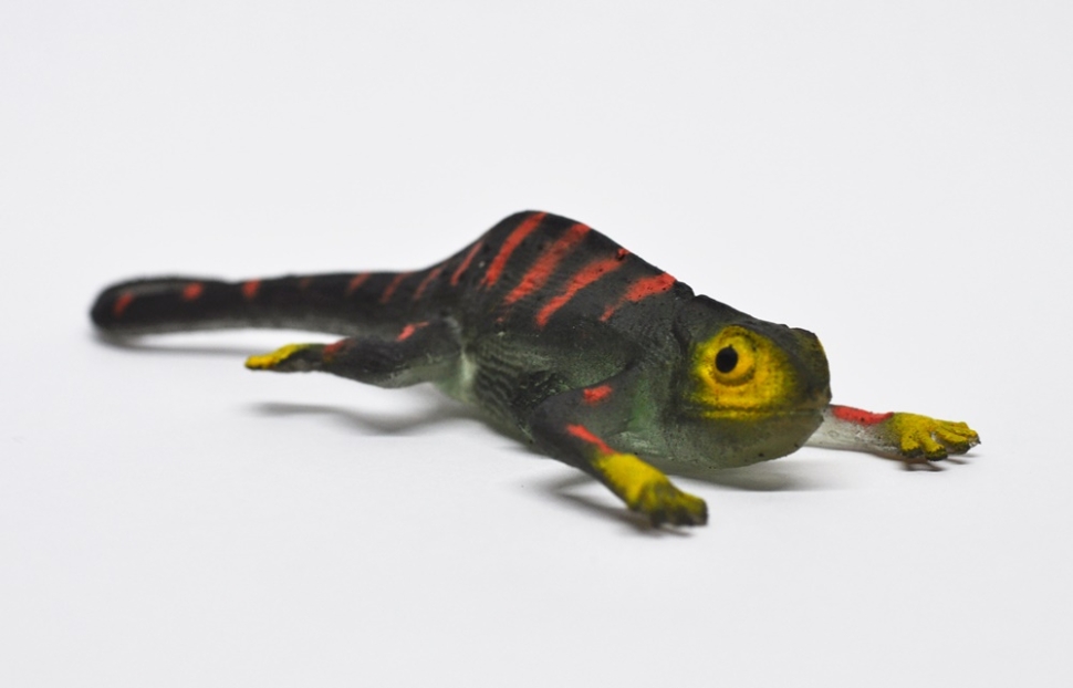 Мадагаскарский хамелеон (меняет цвет в воде)     - Волшебные ящерицы