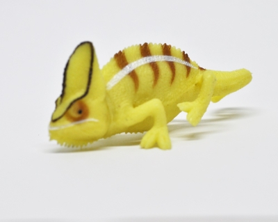 Пантерный хамелеон (меняет цвет на солнце)     