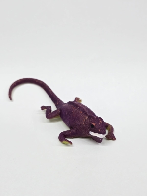 Сенегальский геккон (меняет цвет в воде)   