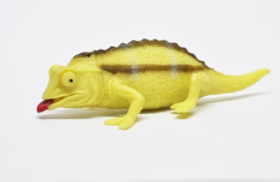 Карликовый спектральный хамелеон (меняет цвет на солнце)     