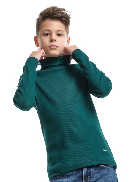 Джемпер для мальчиков Mini Maxi, модель 2187, цвет темно-зеленый - Водолазки для девочек