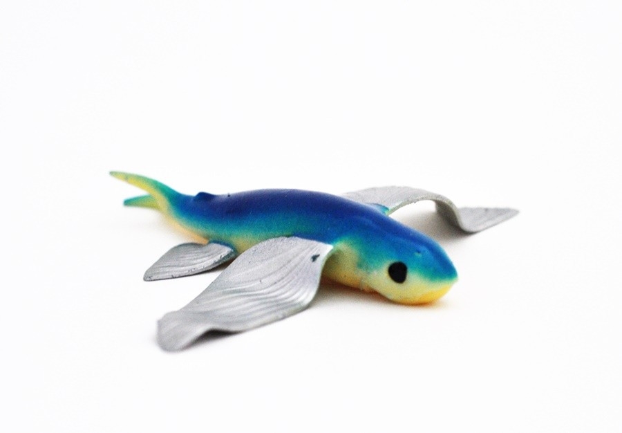 Атлантическая летучая рыбы - Акулы & Ко Макси (новая версия)