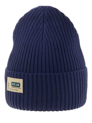 Шапка для мальчика Агентура, Миалт индиго, весна-осень