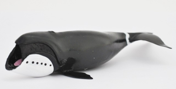 Гренландский кит - Морские гиганты & КО Макси