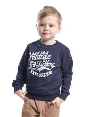 Свитшот для мальчиков Mini Maxi, модель 0997, цвет темно-синий