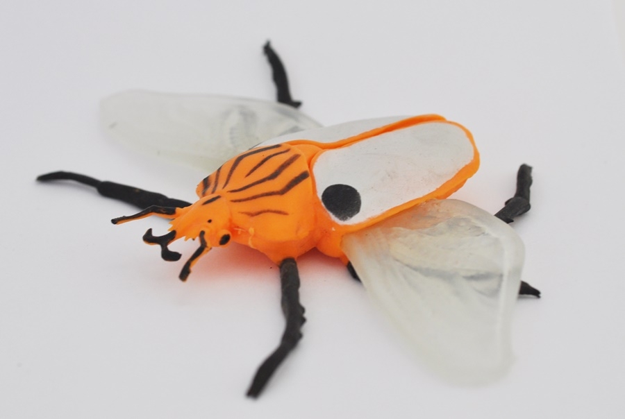 Жук-голиаф, scarabeo golia - Скарабеи и Жуки