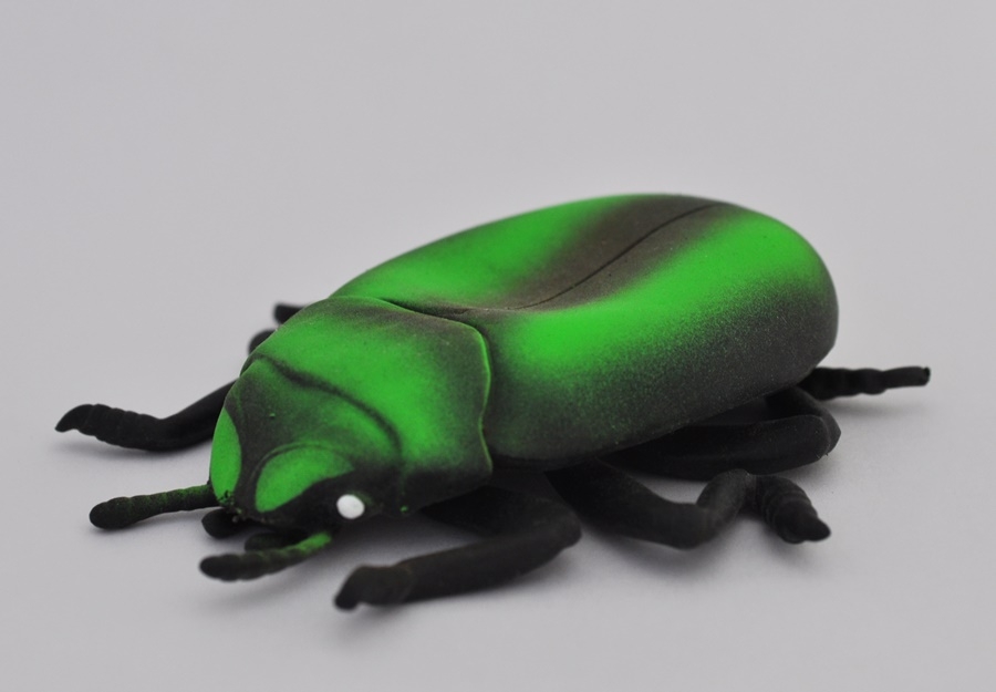 Листоед травяной, coleottero arcobaleno - Скарабеи и Жуки