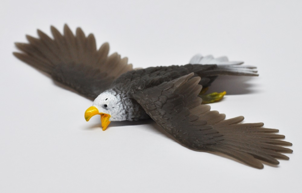 Белоголовый орлан (меняет цвет в горячий воде)  - Повелители неба