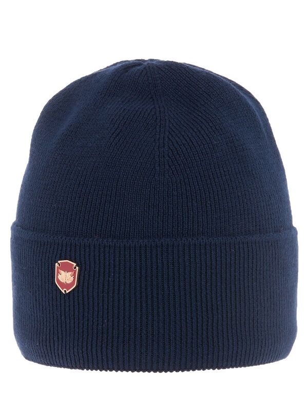 Шапка для мальчика Кордон, Миалт темно-синий, весна-осень - Шапки весна-осень