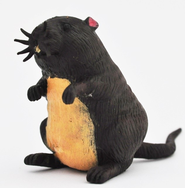 Бобровая крыса - Летучие мыши и крысы, Big Animal World