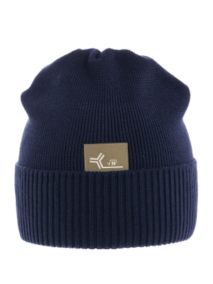 Шапка для мальчика Аргумент, Миалт темно-синий, весна-осень