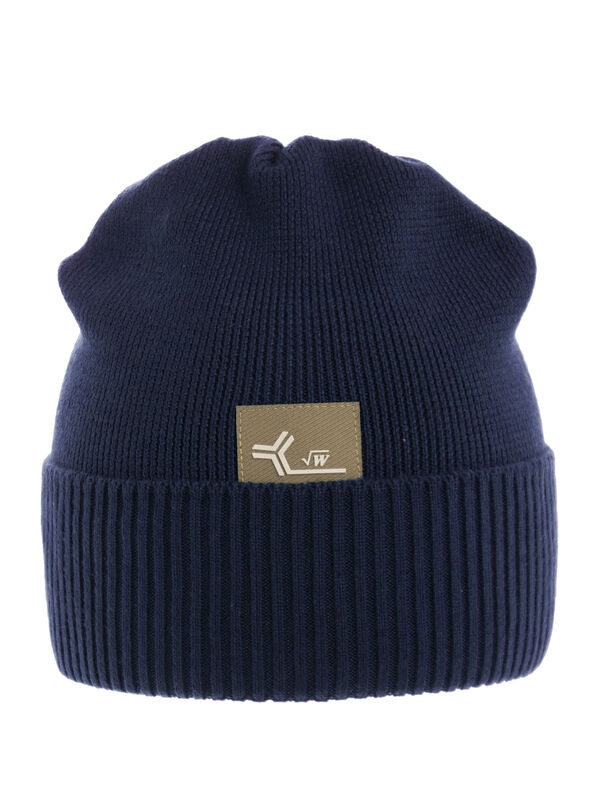 Шапка для мальчика Аргумент, Миалт темно-синий, весна-осень - Шапки весна-осень