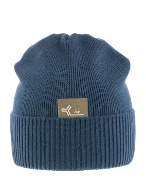 Шапка для мальчика Аргумент, Миалт джинсовый, весна-осень