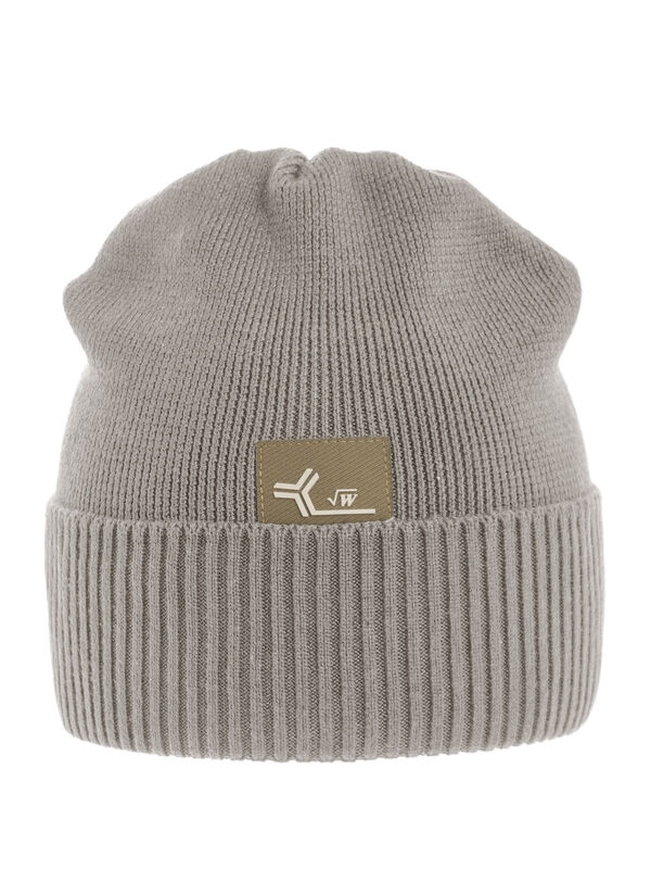 Шапка для мальчика Аргумент, Миалт серо-бежевый, весна-осень - Шапки весна-осень