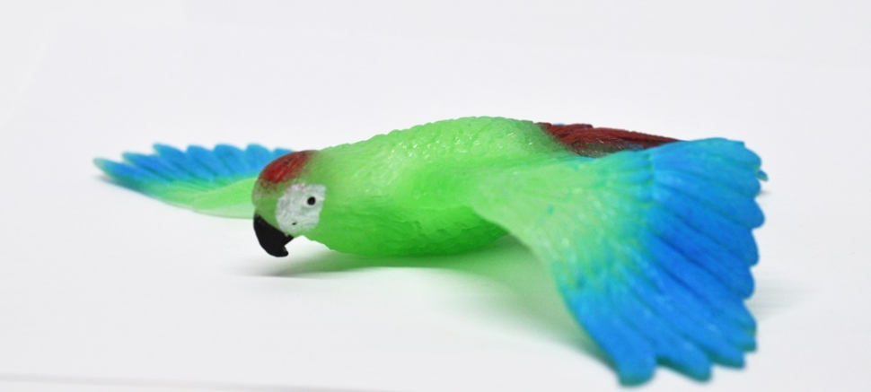 Попугай Ара камуфляжный - Большие птицы, Epic Animals