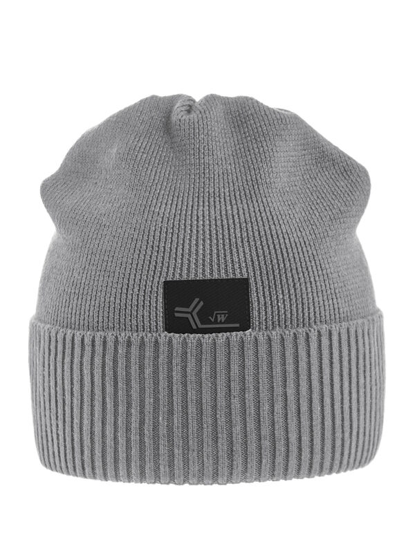 Шапка для мальчика Аргумент, Миалт серый, весна-осень - Шапки весна-осень