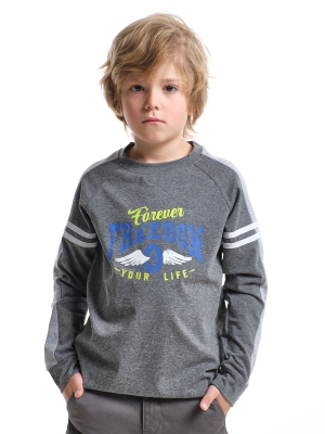 Лонгслив для мальчиков Mini Maxi, модель 4125, цвет графит