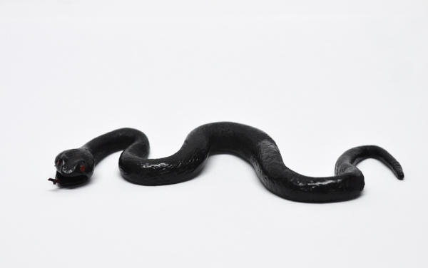 Чёрная мамба — купить игрушку Опасные змеи в Москве по цене 399 руб.