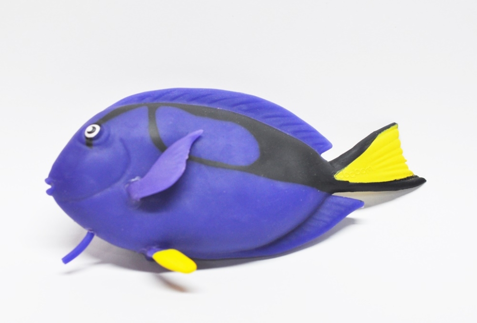 Рыба-хирург (меняет цвет в горячей воде) - Повелители тропиков