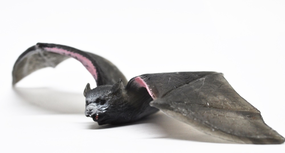 Летучая мышь - Большие птицы, Epic Animals