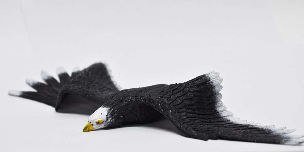 Морской орел - Большие птицы, Epic Animals