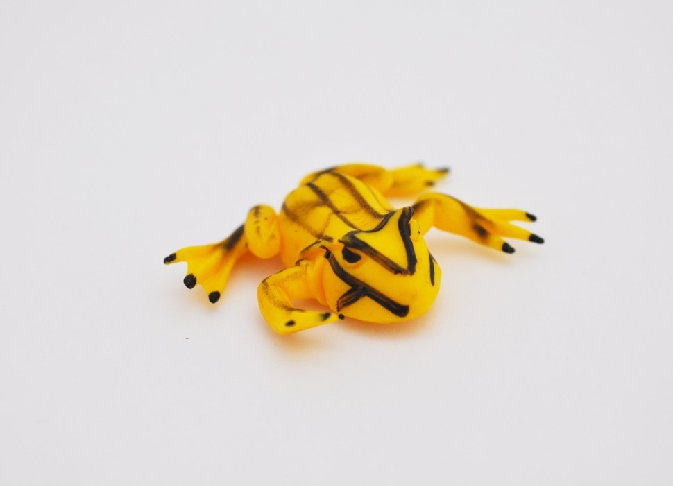 Ужасный листолаз - Невероятный мир животных,Big Animal World