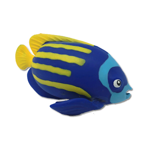 Ангел императорский  - Повелители тропиков