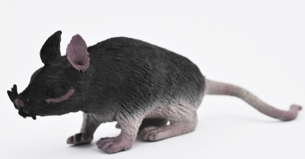 Черная крыса (светится в темноте) - Летучие мыши и крысы, Big Animal World