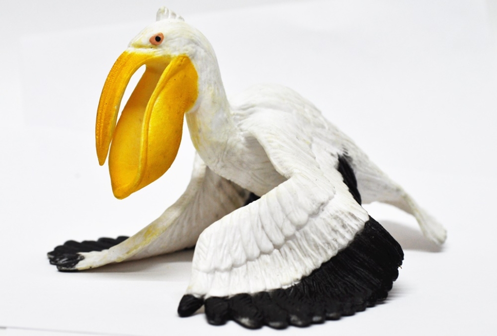 Пеликан - Большие птицы, Epic Animals