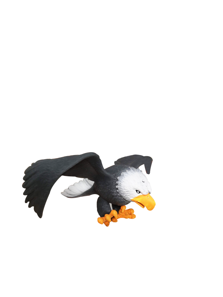 Белоголовый орёл (меняет цвет в горячей воде)  - Крылатые Хищники