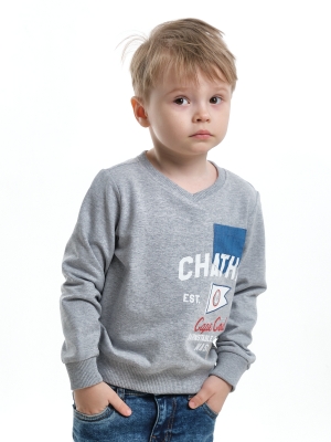 Свитшот для мальчиков Mini Maxi, модель 6913, цвет серый