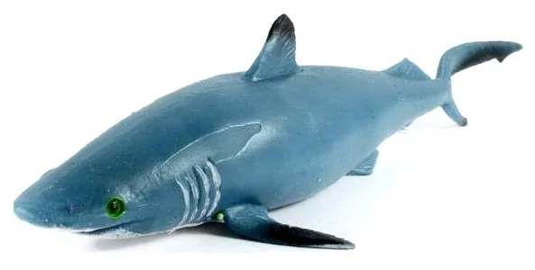 Акула - Animal World