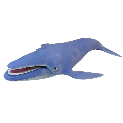 Синий кит (меняет цвет в горячей воде)  - Повелители морей