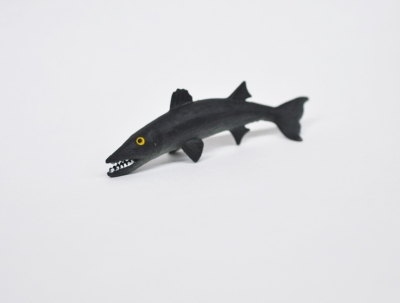 Чёрная акула (меняет цвет в тёплой воде) 